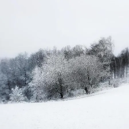 Am Atelier Horn Apartmán *