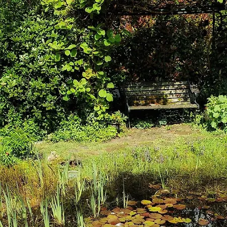 Am Atelier Horn Apartmán *