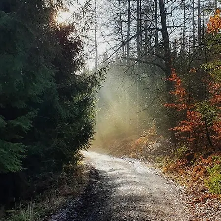 Am Atelier Horn Apartmán