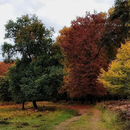 Am Atelier Horn Apartmán Overath