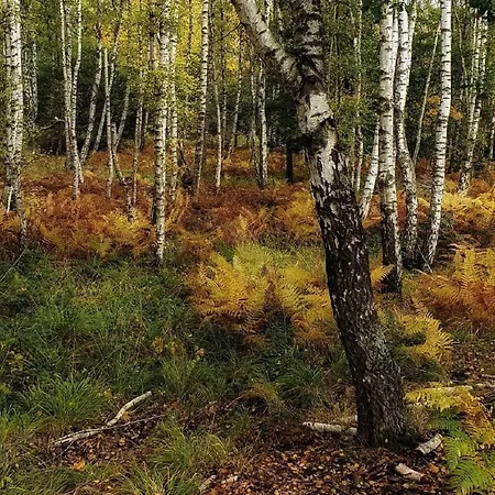 Am Atelier Horn Apartmán *