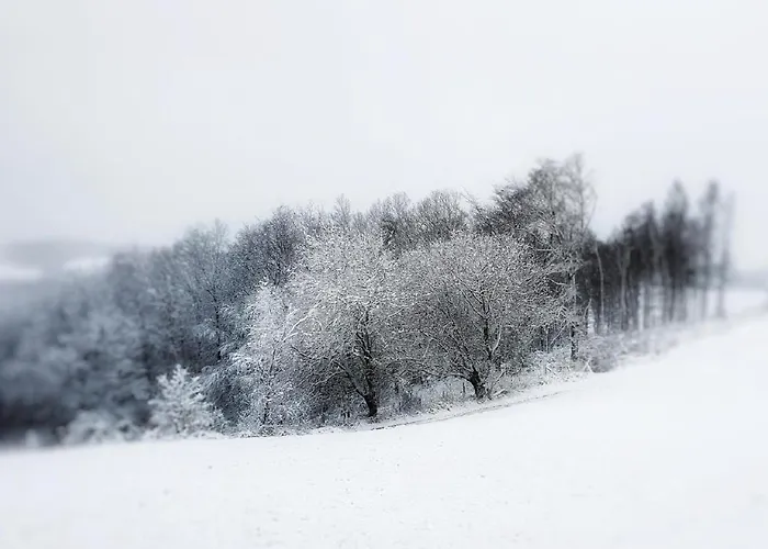 Am Atelier Horn 公寓 *