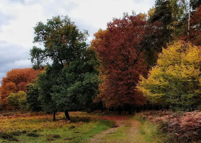 Am Atelier Horn アパート オーヴェラート