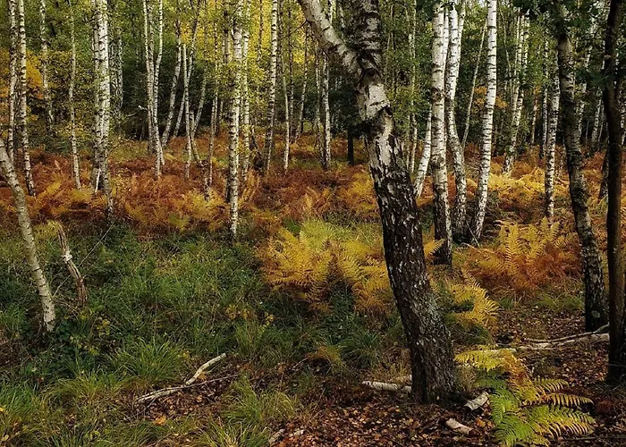 Am Atelier Horn アパート *